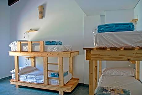 Bunk Bed in Mixed Dormitory Room