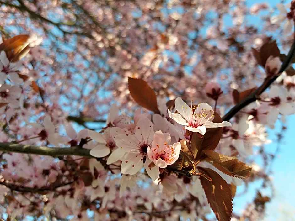 Apparthotel Ampertal