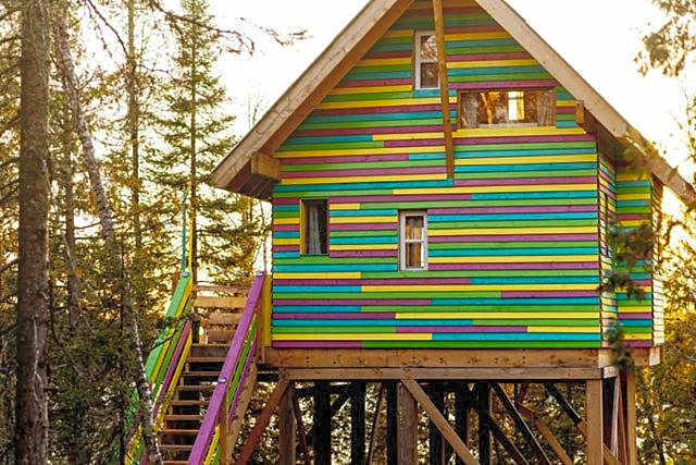 Entre Lemoine et l'arbre