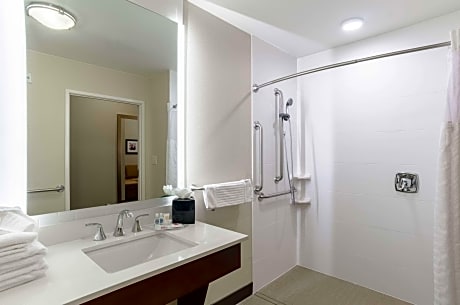 1 King Bed  Suite  No Smoking  Accessible Room