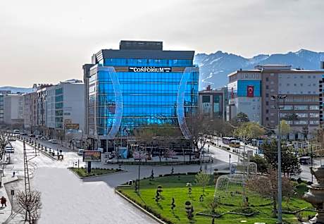 THE CONFORIUM HOTEL VAN