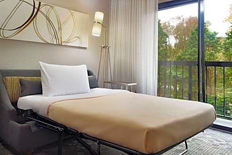 Suite, 1 Bedroom (1 King Bed and 1 Double Sofa Bed)
