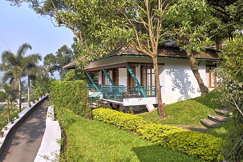 Forest Canopy Resort