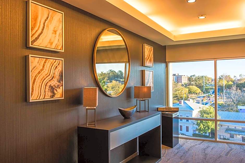 Hampton Inn By Hilton & Suites Tallahassee Capital - University
