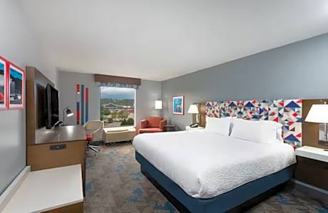 1 King Bed Nonsmoking