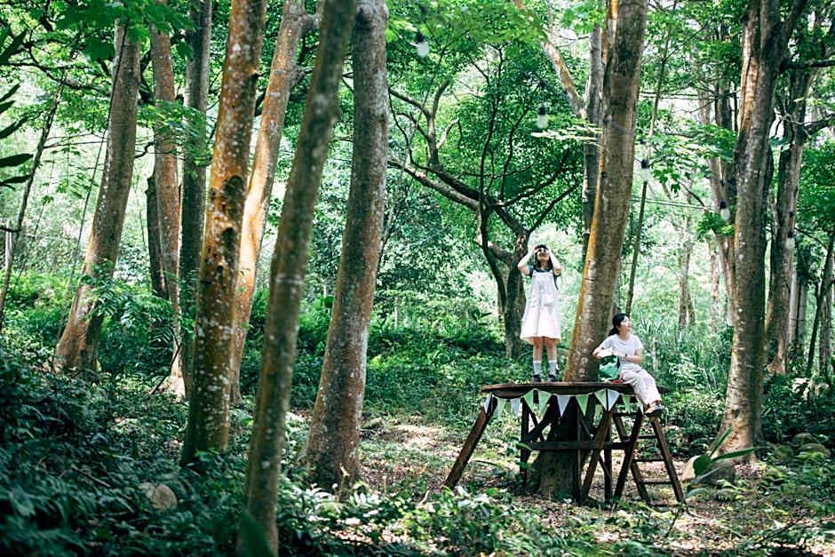 Green Wave Sanyi BY REINDEER