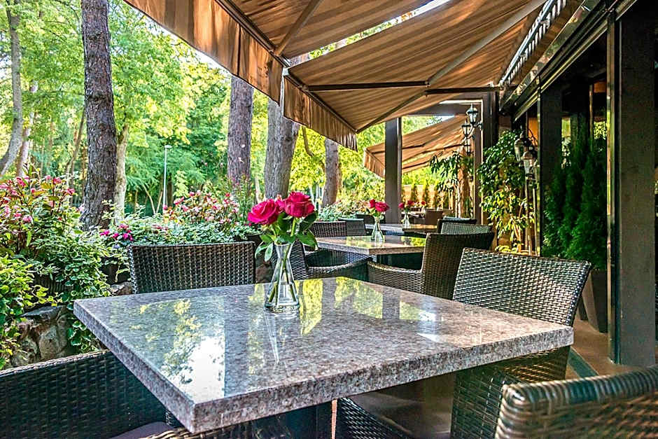 Hotel Pušų paunksnėje