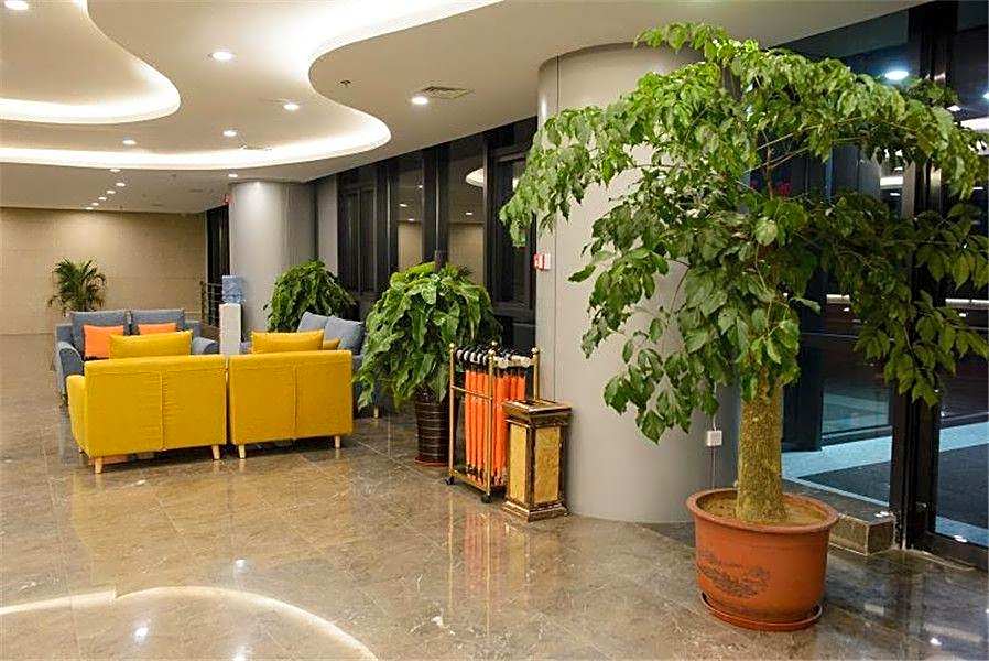 GreenTree Eastern Rizhao High Speed Railway Station Hotel