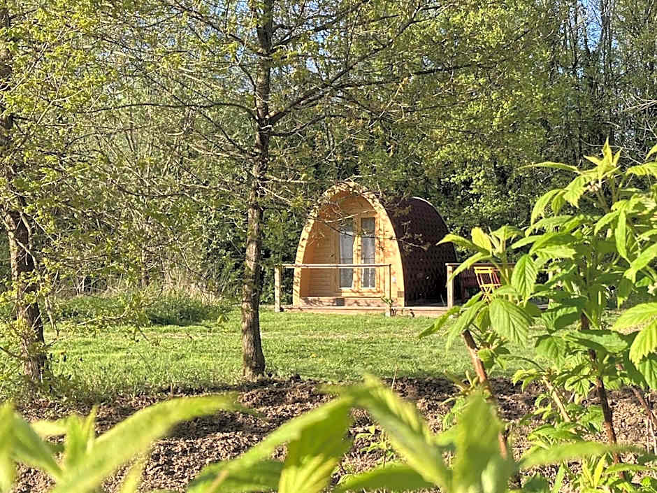 Ô Saveur de l’Instant