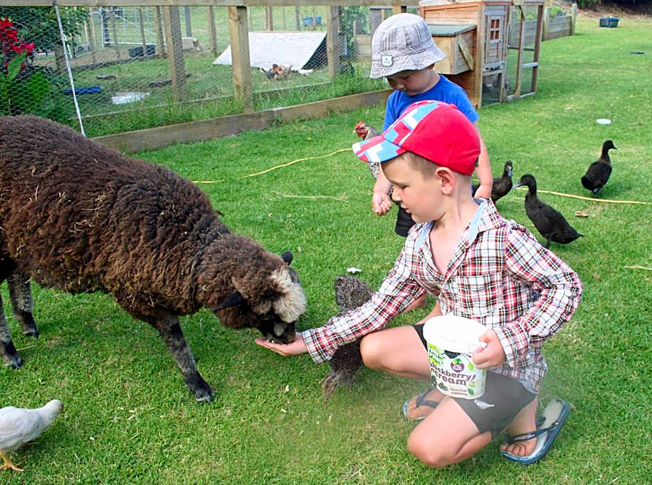 Pukenui Holiday Park