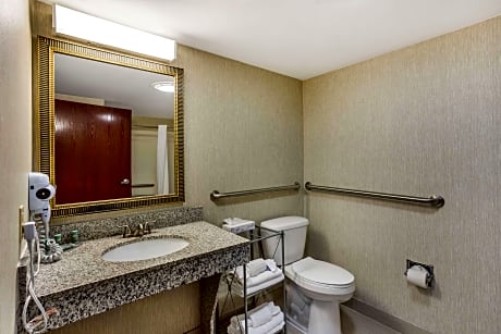1 King Mobility Access Bathtub Work Desk Microwave Fridge Wi-Fi Non-Smoking Full Breakfast