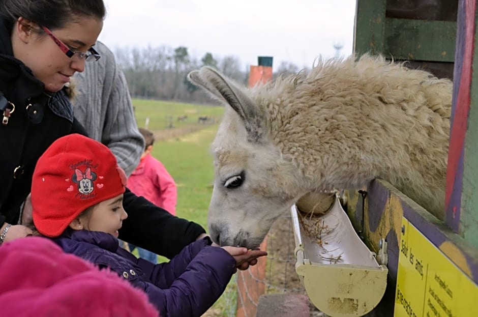 La petite ferme de Pouillon - Parc animalier - aire de loisirs