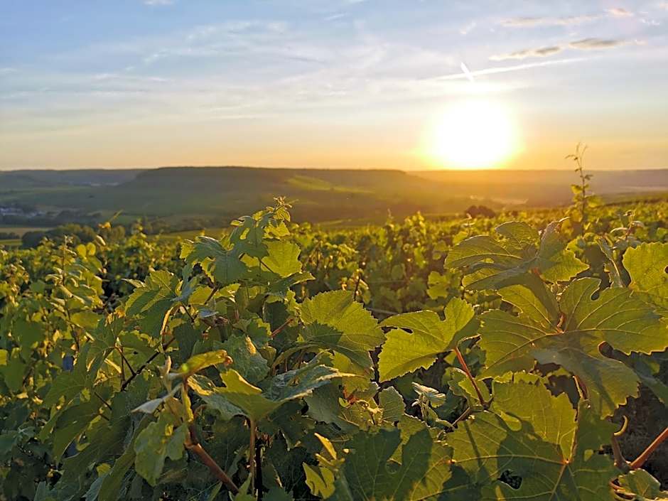 Briqueterie Champagne, A Beauvallon Hotel & Spa