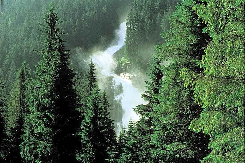 Hotel Oberwirt - nahe an Saalbach und Zell am See, Viehhofen Sommercard