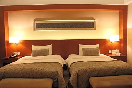Executive Twin Room with Lake View