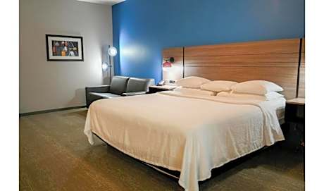 Deluxe Single King Room with Sofa Bed