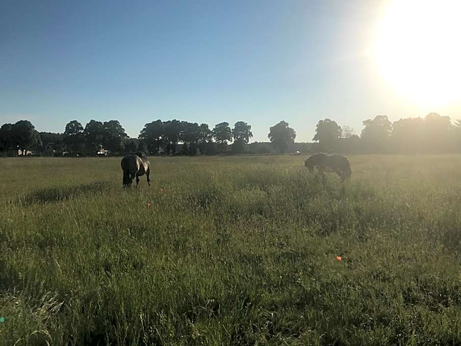 Eichenhof Hotel Garni