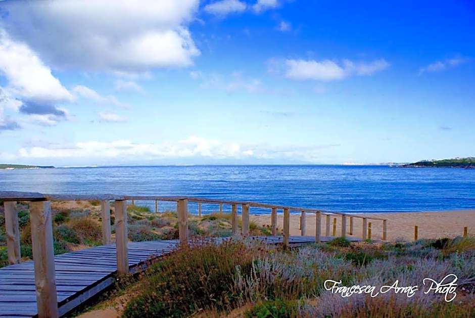 Residenze L'Isola Surf House