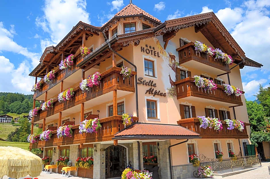 Photo 1 of 50 of Hotel Stella Alpina
