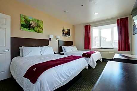 Deluxe Queen Suite