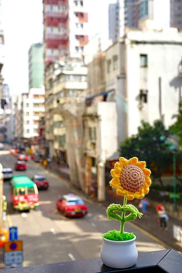 Waveflo Hostel 浪花青旅