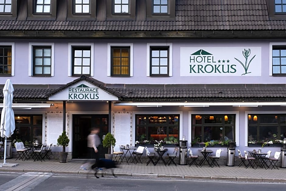 Hotel Krokus