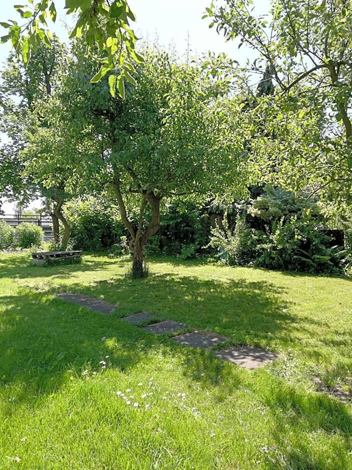 Hostel Mamas & Papas