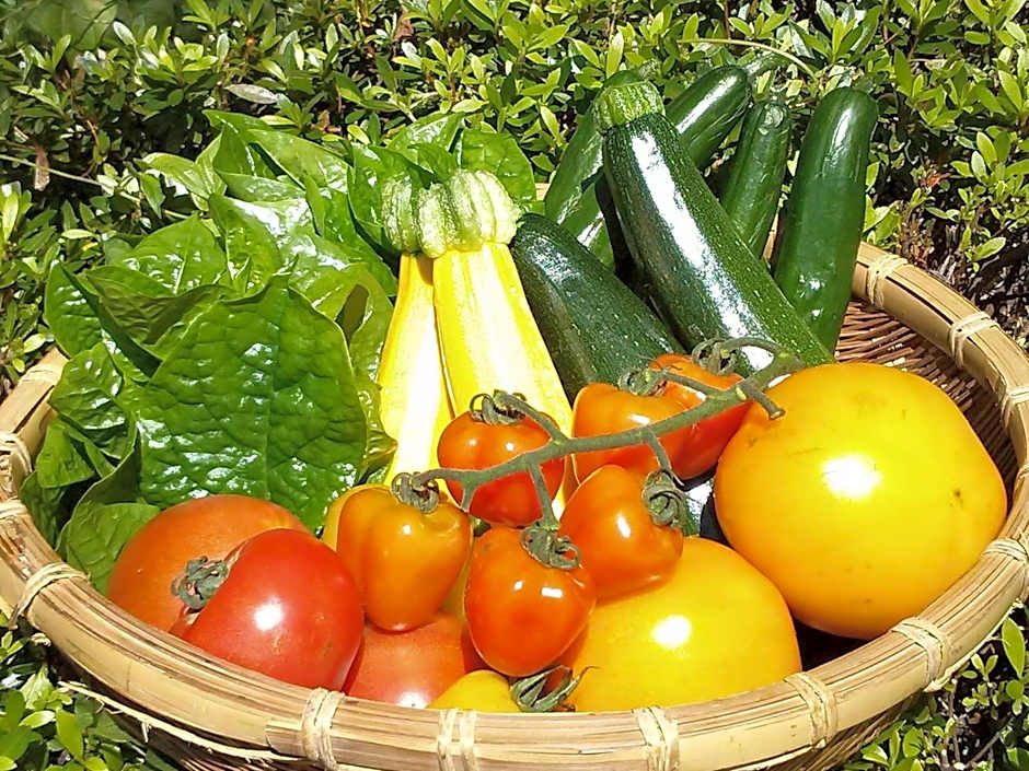 Super Hydrogen Rich Spa Yado Kanzan