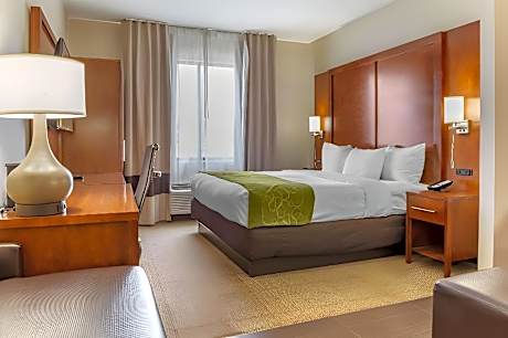 1 King Bed, Suite, Nonsmoking, Accessible
