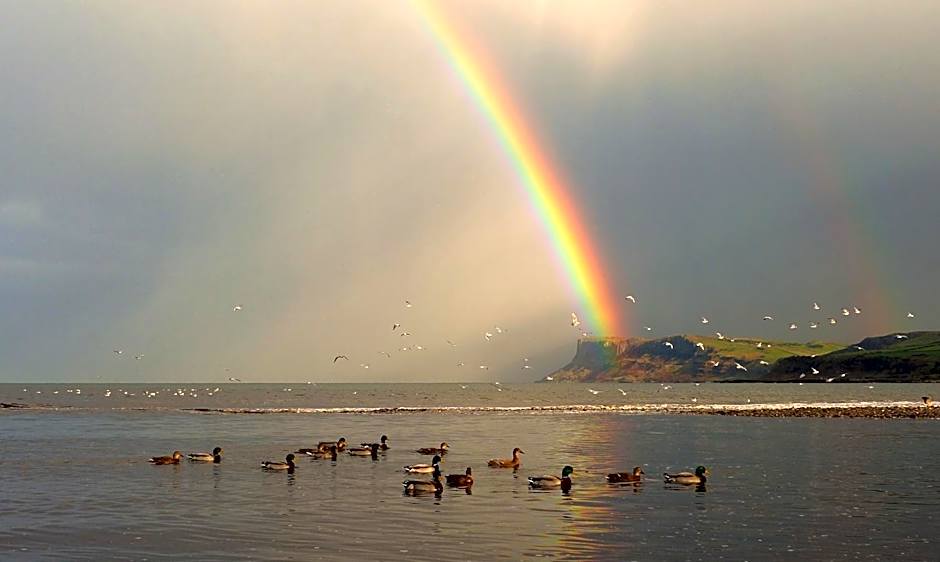 Glen Haven Bed and Breakfast