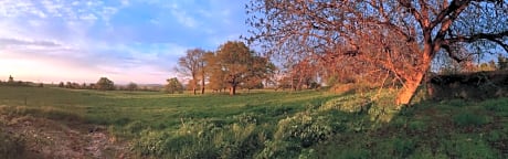 Chambre d'hotes Ferme de la Forlonge