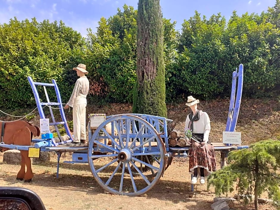 Authentique mas avec piscine en Provence