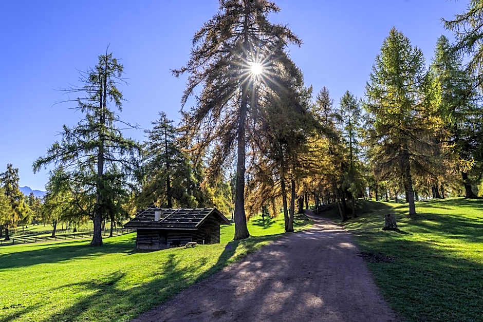 Pension Schlaneiderhof