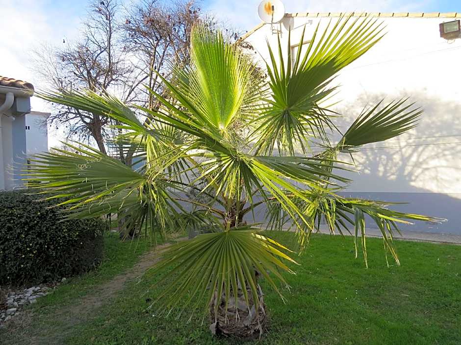 Kyriad Avignon Cap Sud