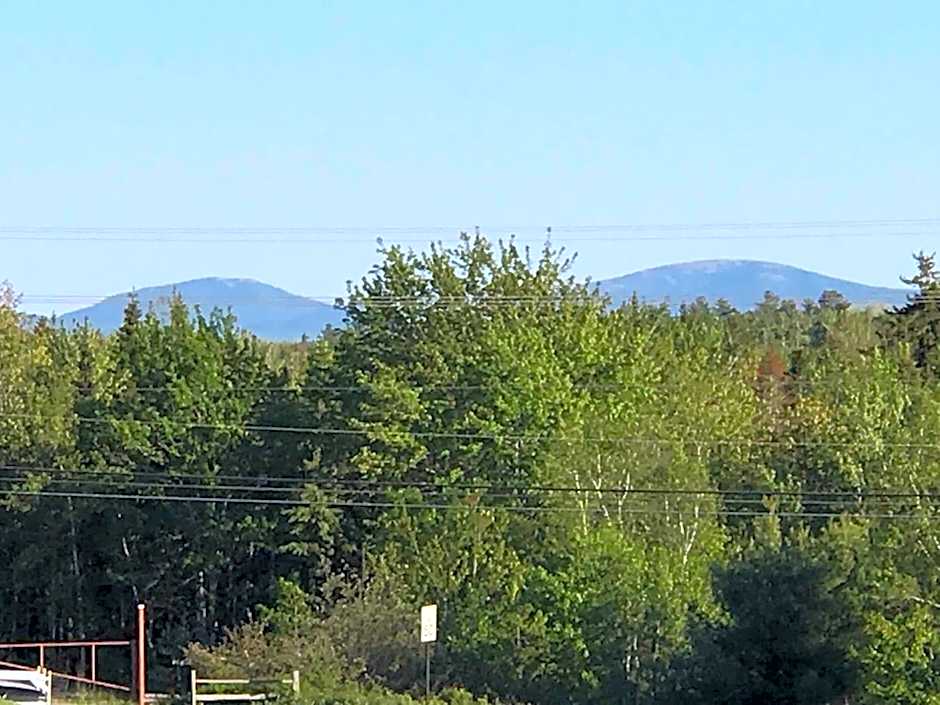 White Birches Motel