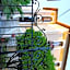 Villa Mon Rêve Apartements