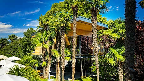 TreeLodgy, The Tree House