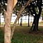 NRMA Canton Beach Holiday Park