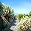 Tenuta di Castellaro Winery & Resort
