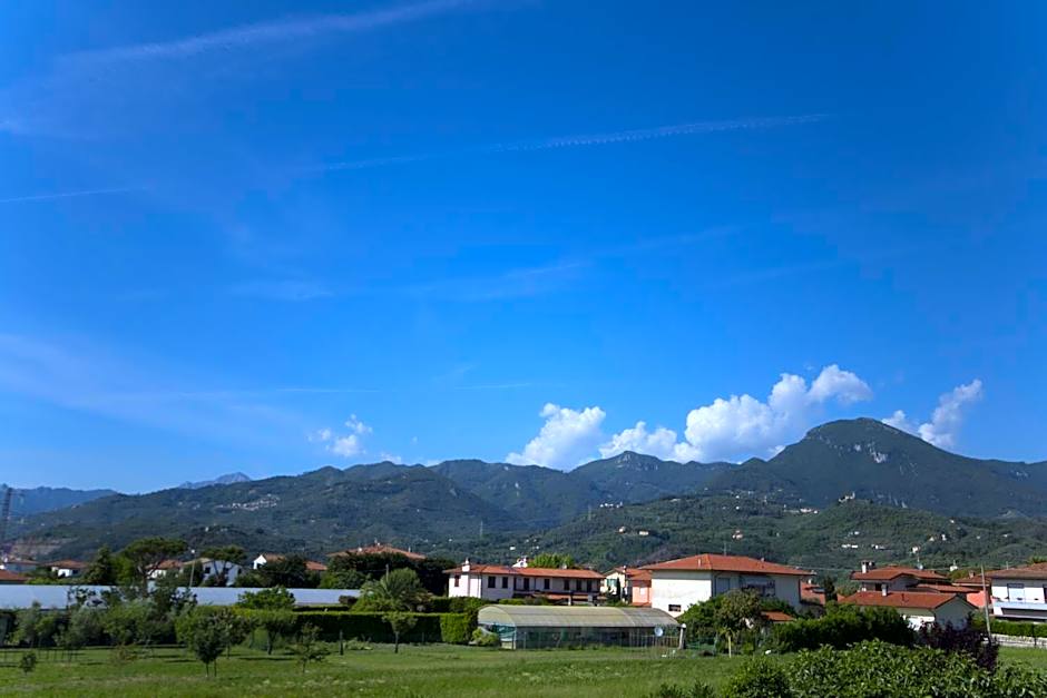 Il Tremarino