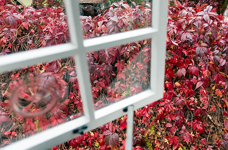 Best Western Red Lion Hotel