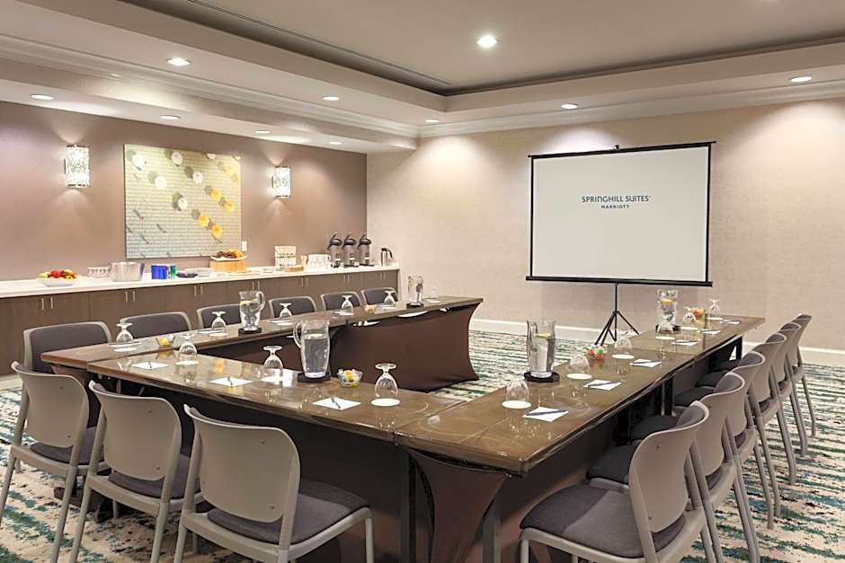 Springhill Suites by Marriott Orlando Lake Buena Vista In Marrio