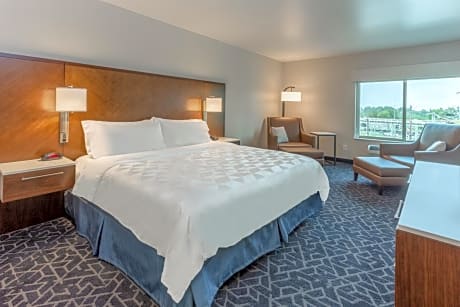 Standard King Room with Sofa Bed and Communications Accessible Tub