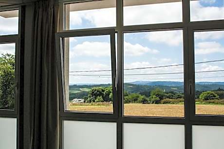Bunk Bed in Mixed Dormitory Room