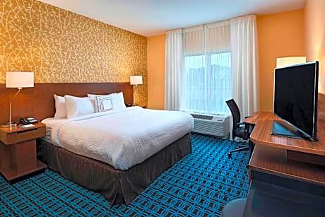 Room, 1 King Bed