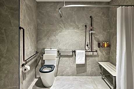 Queen Room with Mobility Accessible Roll-In Shower