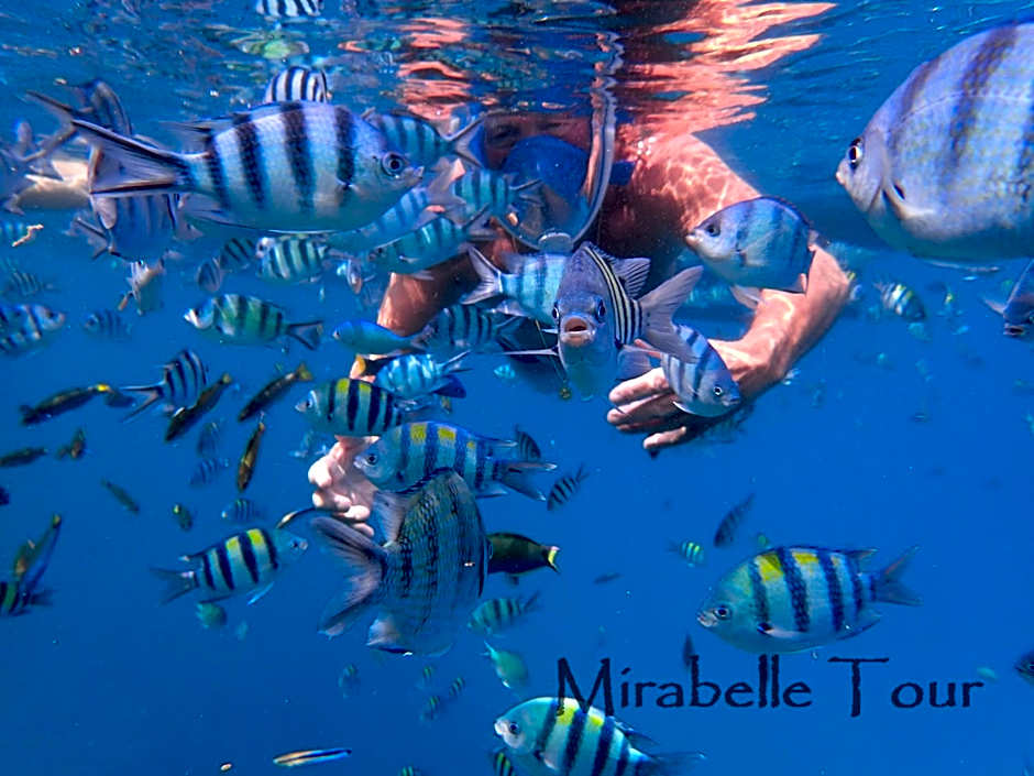 Mirabelle Joglo Village