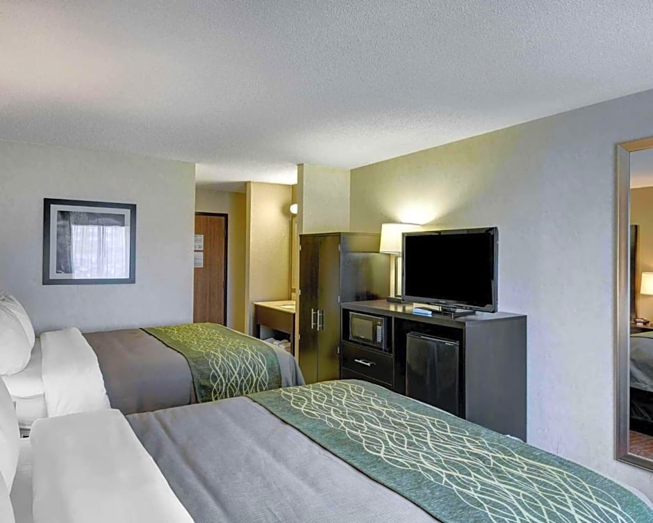 Comfort Inn - Painesville