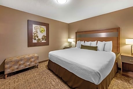 Accessible - 1 King, Mobility Accessible, Roll In Shower, Handheld Showerhead, Microwave And Refrige