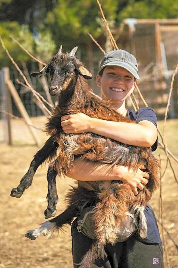 Château Les Carrasses